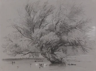 Pond with Willow Tree and Ducks